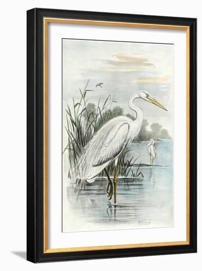 Oversize White Heron-null-Framed Art Print