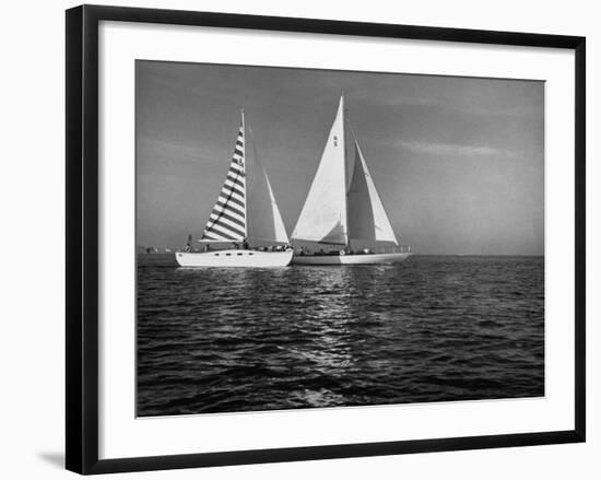 Overtaking a Conventional Sailboat, the Catamaran Is Displaying its Speed-Loomis Dean-Framed Photographic Print