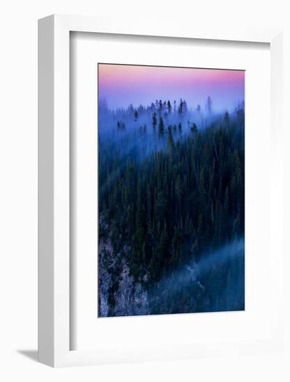 Overture Sweet Morning Symphony Fog Trees Grand Canyon Yellowstone-Vincent James-Framed Photographic Print