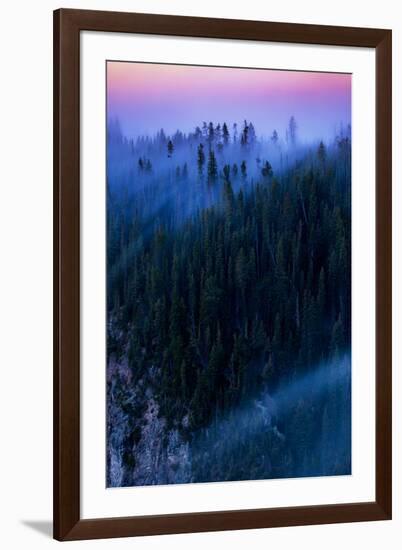 Overture Sweet Morning Symphony Fog Trees Grand Canyon Yellowstone-Vincent James-Framed Photographic Print