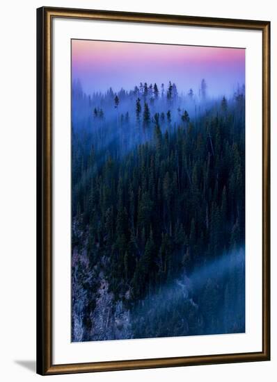 Overture Sweet Morning Symphony Fog Trees Grand Canyon Yellowstone-Vincent James-Framed Photographic Print