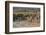 Overview of All Nations Gate and tourist groups setting off on their tours, Persepolis, UNESCO Worl-James Strachan-Framed Photographic Print