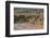 Overview of All Nations Gate and tourist groups setting off on their tours, Persepolis, UNESCO Worl-James Strachan-Framed Photographic Print