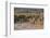 Overview of All Nations Gate and tourist groups setting off on their tours, Persepolis, UNESCO Worl-James Strachan-Framed Photographic Print