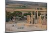 Overview of All Nations Gate and tourist groups setting off on their tours, Persepolis, UNESCO Worl-James Strachan-Mounted Photographic Print