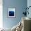 Overview of Dolphins Swimming Underwater-Stuart Westmorland-Framed Photographic Print displayed on a wall