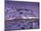 Overview of Mykonos Town harbor, Mykonos, Cyclades Islands, Greece-Walter Bibikow-Mounted Photographic Print