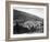 Overview of Palestine-null-Framed Photographic Print