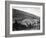 Overview of Palestine-null-Framed Photographic Print