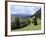 Overview of Podhom Village Near Bled, Julian Alps, Slovenia, Slovenian, Europe, European-Nick Upton-Framed Photographic Print