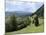 Overview of Podhom Village Near Bled, Julian Alps, Slovenia, Slovenian, Europe, European-Nick Upton-Mounted Photographic Print