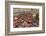 Overview of the Dresden Strietzelmarkt Christmas Market, Dresden, Saxony, Germany, Europe-Miles Ertman-Framed Photographic Print