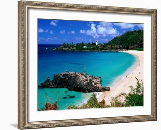 Overview of Waimea Bay on the North Shore, Waimea, U.S.A.-Ann Cecil-Framed Photographic Print