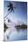 Overwater Bungalows of Intercontinental Mo'Orea Resort, Hauru Point, Moorea-Ian Trower-Mounted Photographic Print