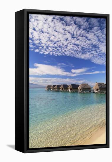 Overwater Bungalows of Sofitel Hotel, Moorea, Society Islands, French Polynesia (Pr)-Ian Trower-Framed Premier Image Canvas