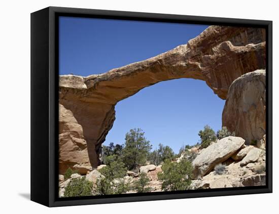 Owachomo Natural Bridge, Natural Bridges National Monument, Utah, USA-James Hager-Framed Premier Image Canvas