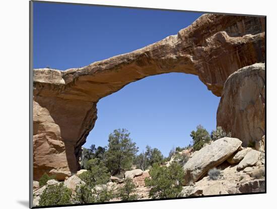 Owachomo Natural Bridge, Natural Bridges National Monument, Utah, USA-James Hager-Mounted Photographic Print