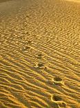 Footprints in Sand Dunes-Owaki - Kulla-Photographic Print