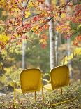 Yellow Chairs and Fall Foliage-Owaki - Kulla-Photographic Print