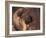 Owatcha Face Portrait (Malamute and Wolf Mix)-Adriano Bacchella-Framed Photographic Print