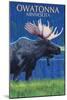 Owatonna, Minnesota - Moose at Night-Lantern Press-Mounted Art Print