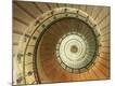 Premium Photographic Print