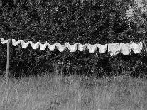 Underwear Hanging to Dry-Owen Franken-Framed Photographic Print