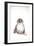 Owen the Owl Birds Nextinctions, 2007 (drawing)-Ralph Steadman-Framed Giclee Print