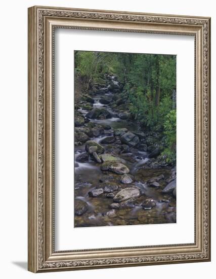 Owengarriff River, Killarney National Park, County Kerry, Munster, Republic of Ireland, Europe-Carsten Krieger-Framed Photographic Print