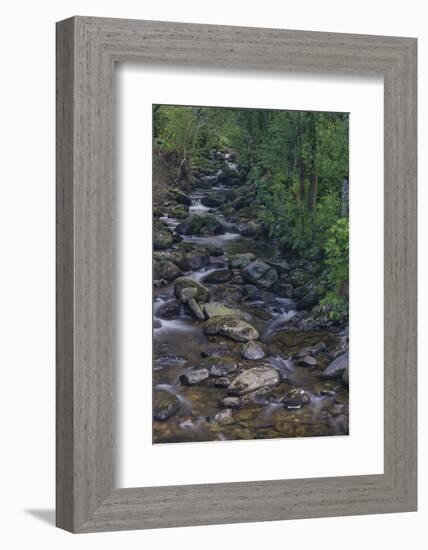 Owengarriff River, Killarney National Park, County Kerry, Munster, Republic of Ireland, Europe-Carsten Krieger-Framed Photographic Print