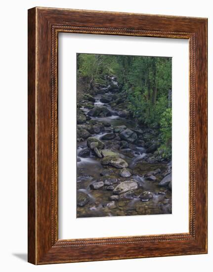 Owengarriff River, Killarney National Park, County Kerry, Munster, Republic of Ireland, Europe-Carsten Krieger-Framed Photographic Print