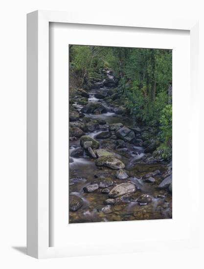 Owengarriff River, Killarney National Park, County Kerry, Munster, Republic of Ireland, Europe-Carsten Krieger-Framed Photographic Print