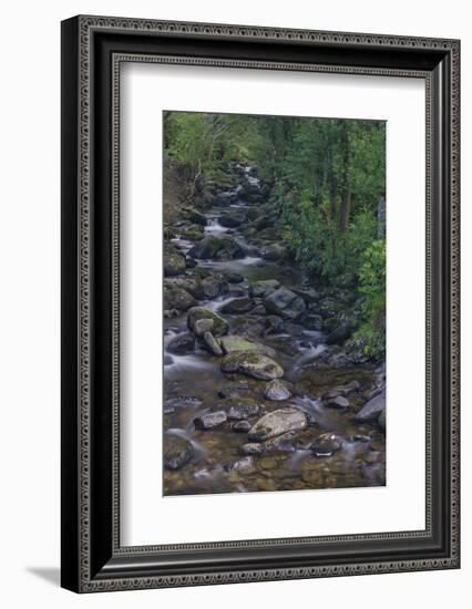 Owengarriff River, Killarney National Park, County Kerry, Munster, Republic of Ireland, Europe-Carsten Krieger-Framed Photographic Print