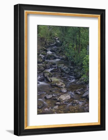 Owengarriff River, Killarney National Park, County Kerry, Munster, Republic of Ireland, Europe-Carsten Krieger-Framed Photographic Print