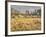 Owens River Valley, Sierra Nevada, California, Usa-Rainer Mirau-Framed Photographic Print