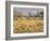 Owens River Valley, Sierra Nevada, California, Usa-Rainer Mirau-Framed Photographic Print