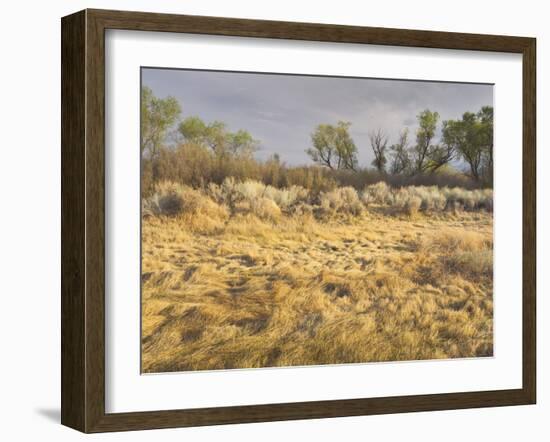 Owens River Valley, Sierra Nevada, California, Usa-Rainer Mirau-Framed Photographic Print