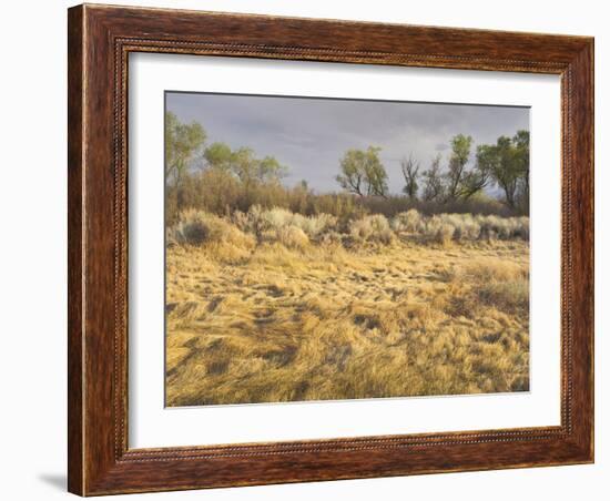 Owens River Valley, Sierra Nevada, California, Usa-Rainer Mirau-Framed Photographic Print