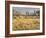 Owens River Valley, Sierra Nevada, California, Usa-Rainer Mirau-Framed Photographic Print