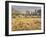 Owens River Valley, Sierra Nevada, California, Usa-Rainer Mirau-Framed Photographic Print