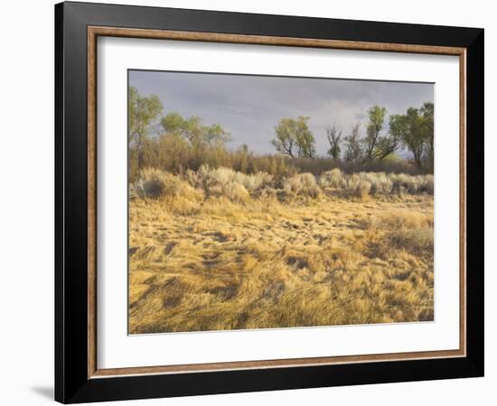 Owens River Valley, Sierra Nevada, California, Usa-Rainer Mirau-Framed Photographic Print