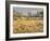 Owens River Valley, Sierra Nevada, California, Usa-Rainer Mirau-Framed Photographic Print