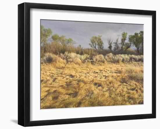 Owens River Valley, Sierra Nevada, California, Usa-Rainer Mirau-Framed Photographic Print