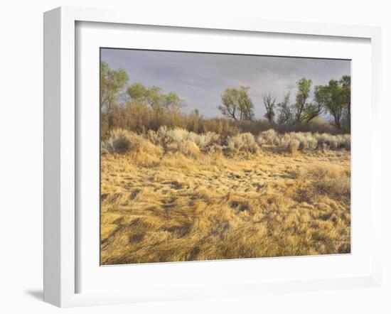 Owens River Valley, Sierra Nevada, California, Usa-Rainer Mirau-Framed Photographic Print