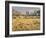 Owens River Valley, Sierra Nevada, California, Usa-Rainer Mirau-Framed Photographic Print