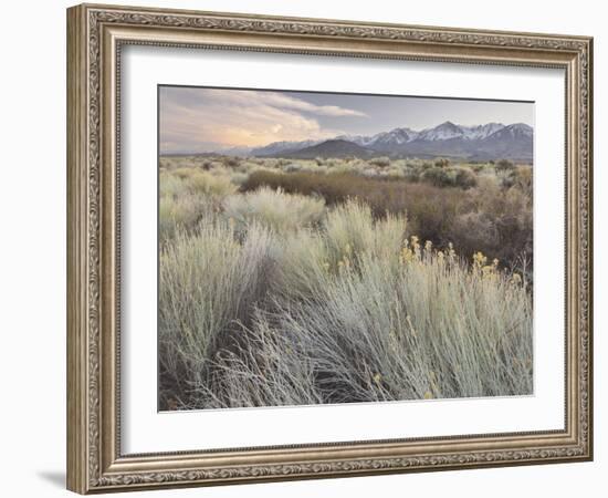 Owens River Valley, Sierra Nevada, California, Usa-Rainer Mirau-Framed Photographic Print