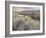 Owens River Valley, Sierra Nevada, California, Usa-Rainer Mirau-Framed Photographic Print