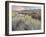 Owens River Valley, Sierra Nevada, California, Usa-Rainer Mirau-Framed Photographic Print