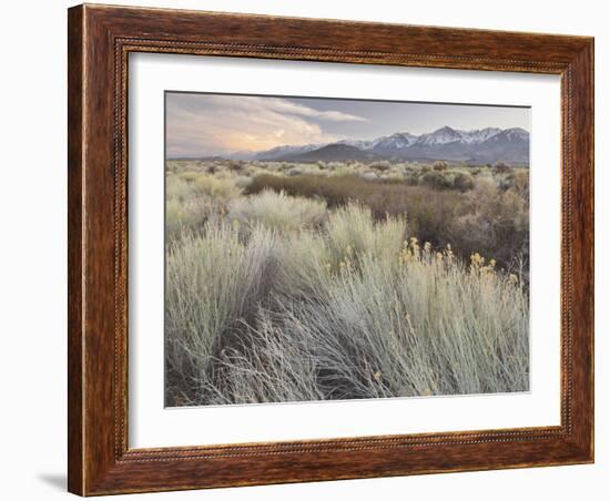 Owens River Valley, Sierra Nevada, California, Usa-Rainer Mirau-Framed Photographic Print