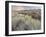 Owens River Valley, Sierra Nevada, California, Usa-Rainer Mirau-Framed Photographic Print